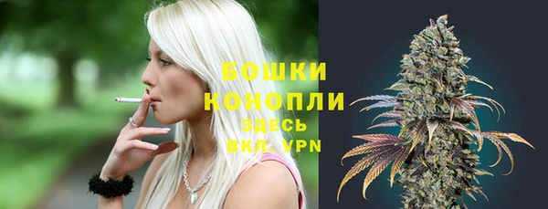 стаф Россошь