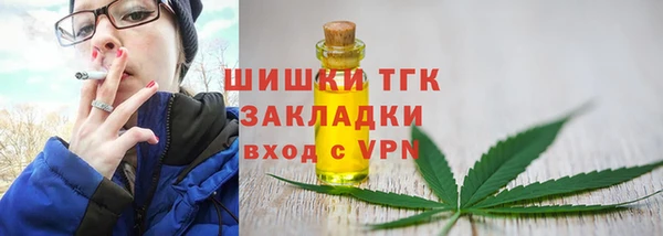 твердый Протвино