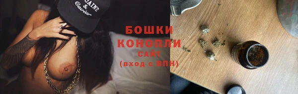 твердый Протвино