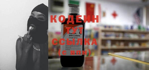 твердый Протвино