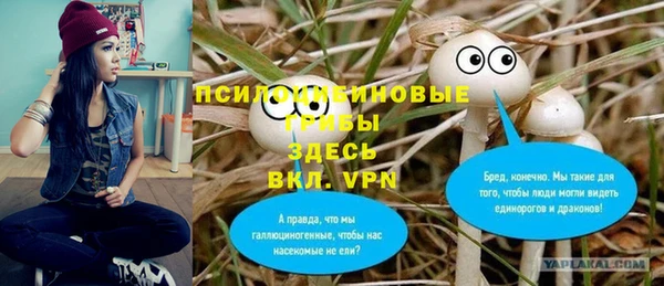 гидра Приозерск
